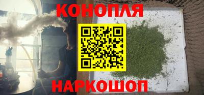 a pvp Кингисепп
